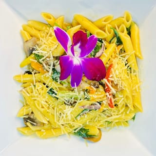 Vegetable Penne with Alfredo Sauce